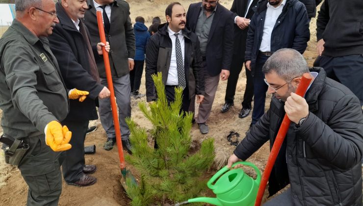 Yemyeşil bir Karapınar için 1000 Ağaç Toprakla Buluşturuldu