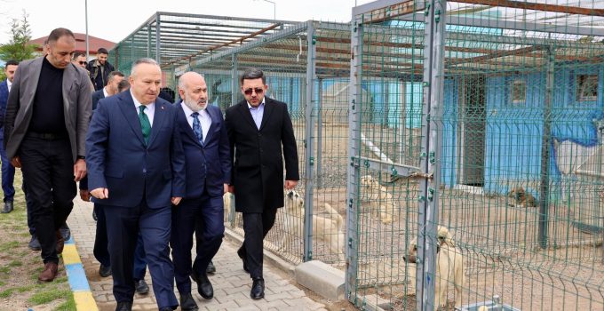 Bakan Yardımcısı Sağlam, Hayvan Kasabası’nı Ziyaret Etti