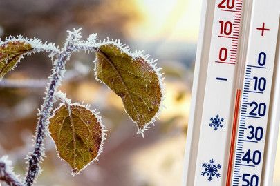 Nevşehir’de Zirai Don Uyarısı